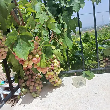 Buenas Vistas Y Privacidad, Tranquila Y Fresca En El Bosque De Valencia Con Magnifica Piscina De 80m2 Nyaraló *