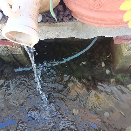 Дом отдыха Buenas Vistas Y Privacidad, Tranquila Y Fresca En El Bosque De Valencia Con Magnifica Piscina De 80m2