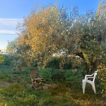 Holiday home Buenas Vistas Y Privacidad, Tranquila Y Fresca En El Bosque De Valencia Con Magnifica Piscina De 80m2