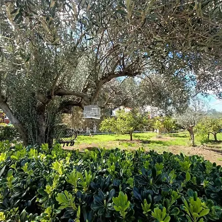 Buenas Vistas Y Privacidad, Tranquila Y Fresca En El Bosque De Valencia Con Magnifica Piscina De 80m2 Lliria