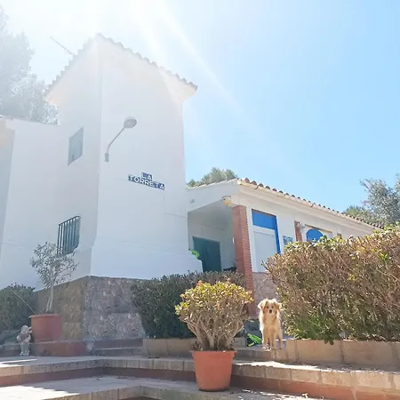 Buenas Vistas Y Privacidad, Tranquila Y Fresca En El Bosque De Valencia Con Magnifica Piscina De 80m2 * Lliria