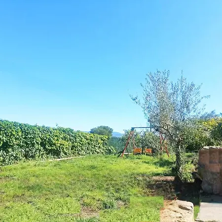 Buenas Vistas Y Privacidad, Tranquila Y Fresca En El Bosque De Valencia Con Magnifica Piscina De 80m2