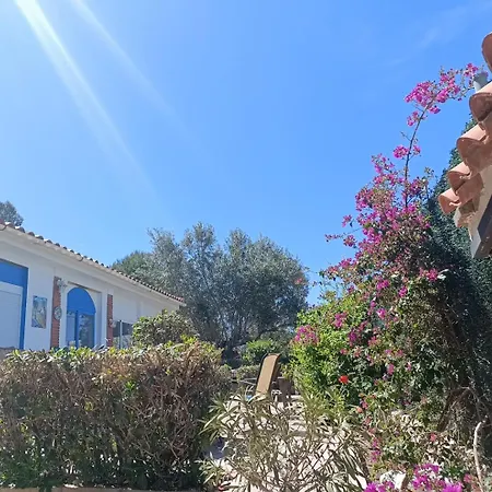 Buenas Vistas Y Privacidad, Tranquila Y Fresca En El Bosque De Valencia Con Magnifica Piscina De 80m2 Holiday home Lliria