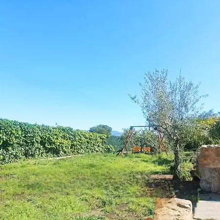Buenas Vistas Y Privacidad, Tranquila Y Fresca En El Bosque De Valencia Con Magnifica Piscina De 80m2 Nyaraló